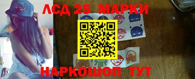 гидропоника Тара