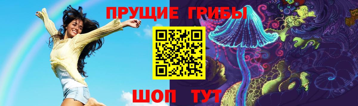 Нурлат  Псилоцибиновые грибы Cubensis  Вход с VPN 
